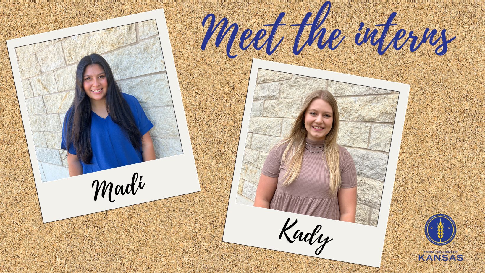 Meet the Fall Interns