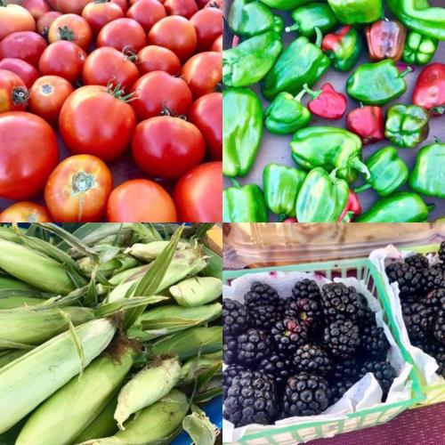 From the Land of Kansas Frankfort Farmers' Market